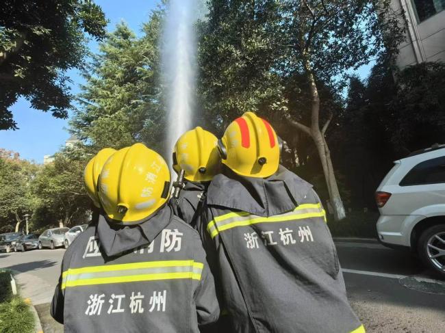 杭州上半年處理70多個(gè)蜂窩 夏季蜂類(lèi)活躍引發(fā)關(guān)注