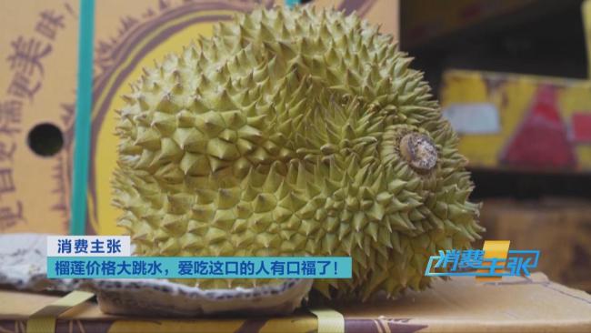 國產(chǎn)榴蓮6月中下旬批量上市
