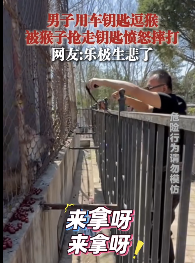 男子用車鑰匙逗猴被猴搶走