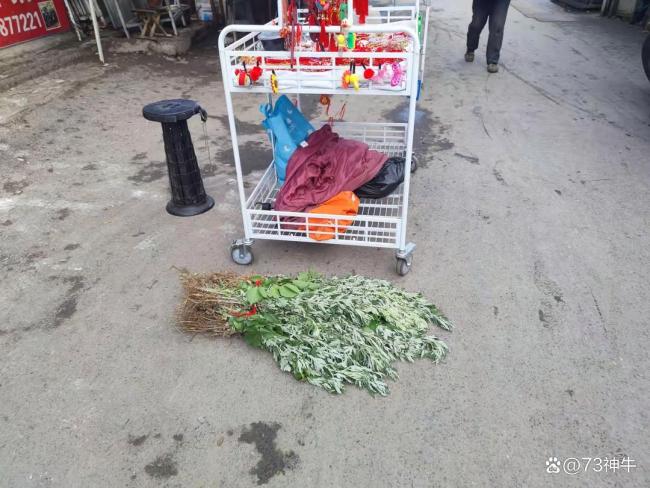“端午躲好午，不愁沒好運”怎么躲午,？ 五種方法保平安