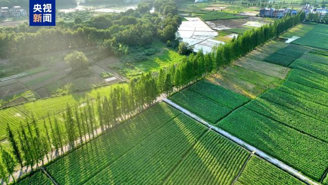 2024年全国"十大最美农村路"发布 哪条最让你心动