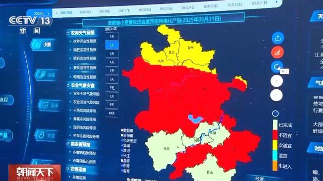 小麥“顆粒歸倉”有了“最強大腦”
