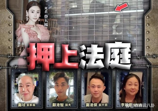 蔡天凤碎尸案细节公布 前婆婆出庭供词揭晓