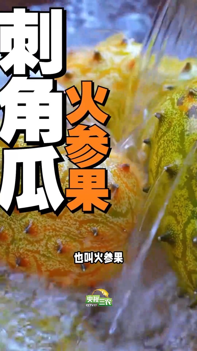 這幾種“奇葩果” 買了就后悔！