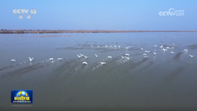 【新思想引領新征程】持續(xù)推進生態(tài)文明建設 繪就美麗中國新畫卷
