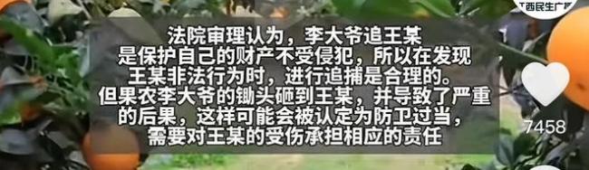 男子偷梨被果農(nóng)砸到腿 果農(nóng)擔(dān)責(zé)一半 偷竊反索賠引爭(zhēng)議