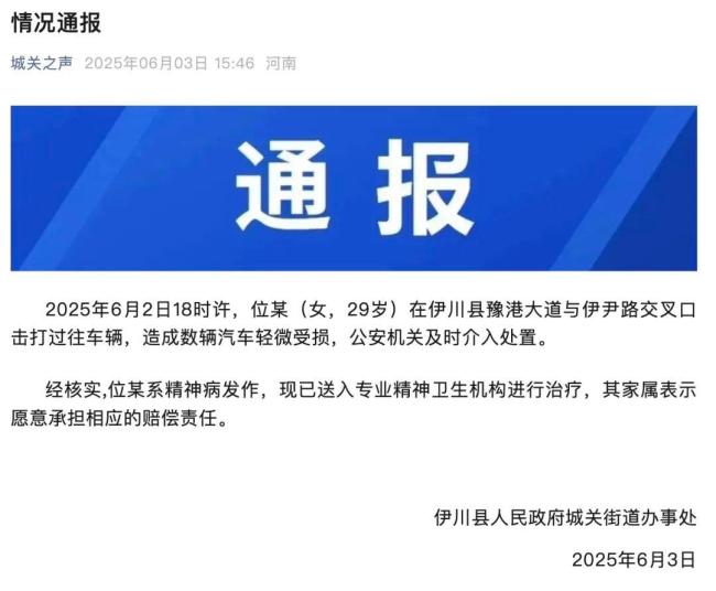 官方通報女子打砸多輛汽車