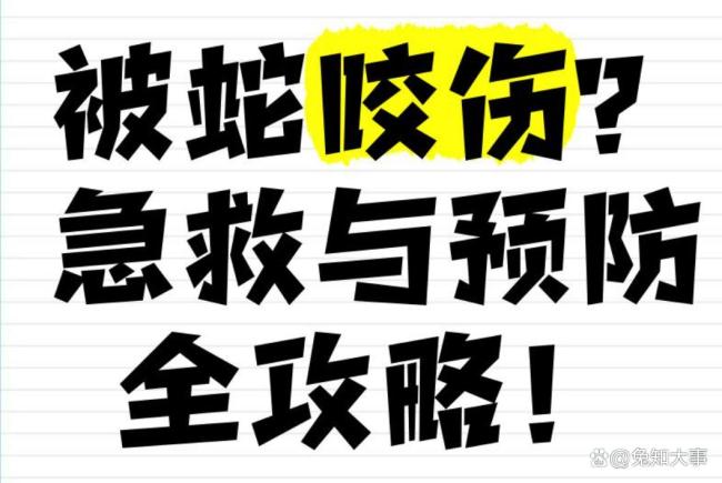 被蛇咬傷該如何進行急救 關鍵自救步驟解析