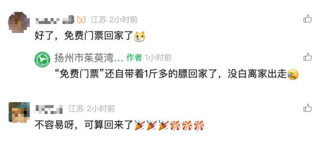 越獄卡皮巴拉已被緝拿歸案 豆包終于回家