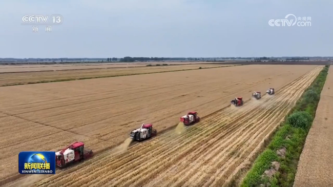 【新思想引領新征程】全方位提升糧食產能 夯實糧食安全根基