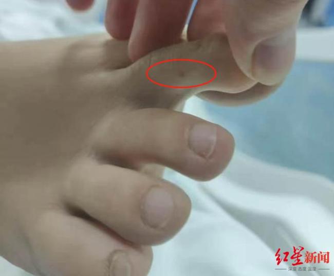 女游客家屬暫不考慮尸檢