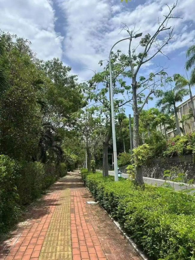 被蛇咬致死女子傷口畫面曝光 家屬質(zhì)疑醫(yī)院救治過程