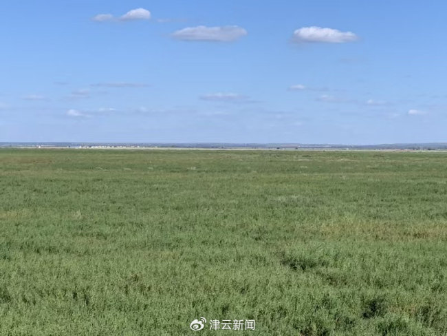 陷入長達(dá)十余年的“搶地”風(fēng)波,！男子6年間遭村民搶走1700畝鹽堿地 