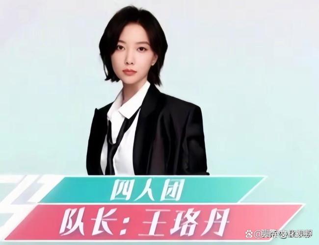 倪萍拒绝参加《乘风2026》 打破年龄焦虑的勇敢冒险