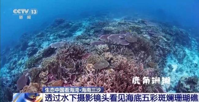 9图看海洋治理的中国方案 美丽海湾建设进展