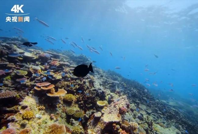 我国海洋经济登上新台阶