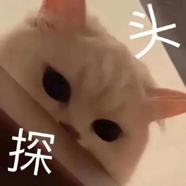 上海新职业“沪上管家”火了