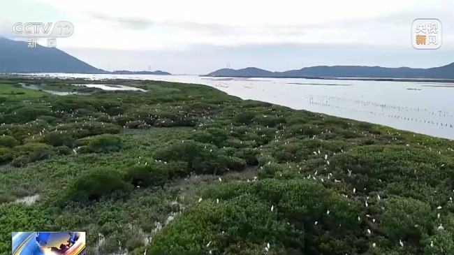 我國海洋能開發利用技術已邁入世界第一方陣