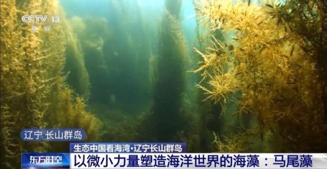 9图看海洋治理的中国方案 美丽海湾建设进展