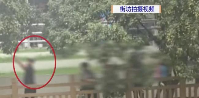 廣州街頭綠化荔枝被人隨意采摘 破壞綠化引關(guān)注