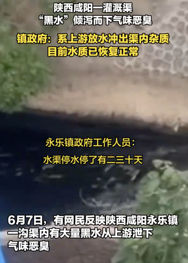 陕西咸阳当地回应灌溉渠黑水气味恶臭