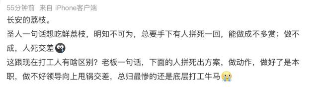 被《长安的荔枝》戳伤了心的打工人 古代老实人接下死亡KPI