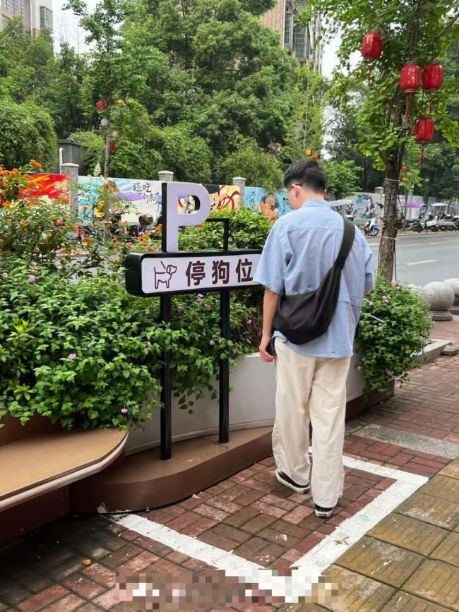 湖南一商业街现1平米停狗位 创意打卡点引发热议