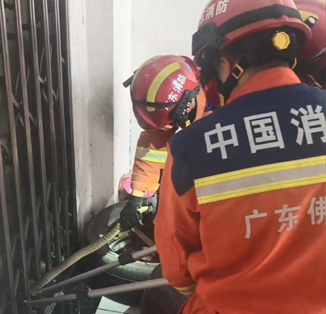小心,！佛山一工業(yè)區(qū)驚現(xiàn)