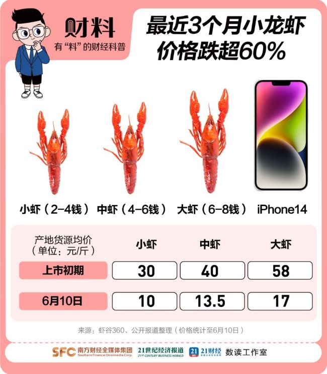 一斤小龍蝦從40元跌到15元