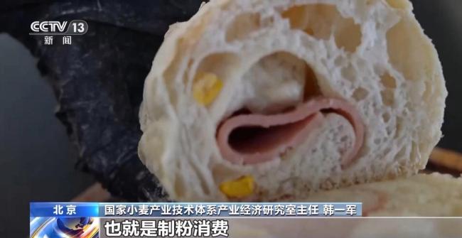 小麦市场价格有望稳中有升 新麦品质提升带动需求