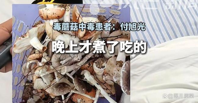 男童吃毒蘑菇去世 曾说爸爸别担心我 爸爸自责泪崩网友批评
