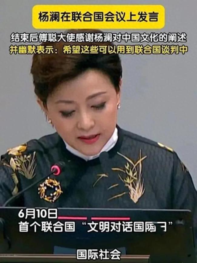 杨澜在联合国文明对话国际日发言！