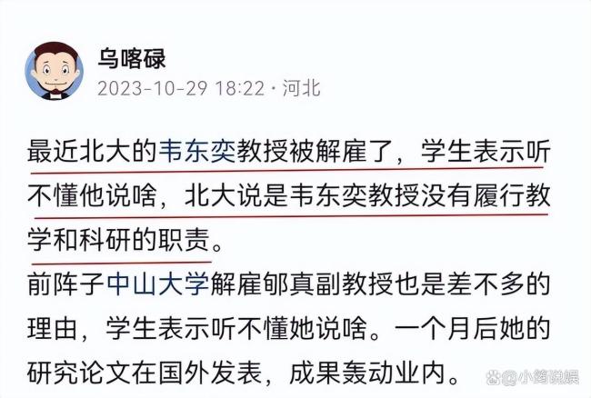 围观韦神一场与韦东奕无关的造神运动 流量与资本的狂欢
