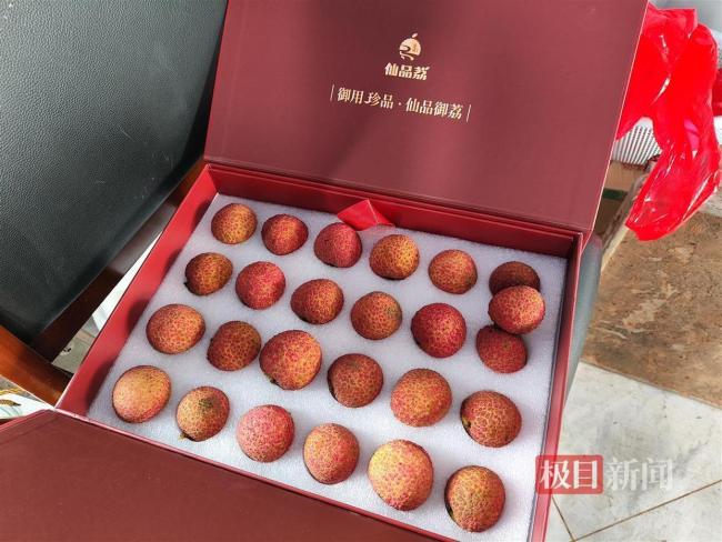 臺風(fēng)登陸前果農(nóng)搶收荔枝