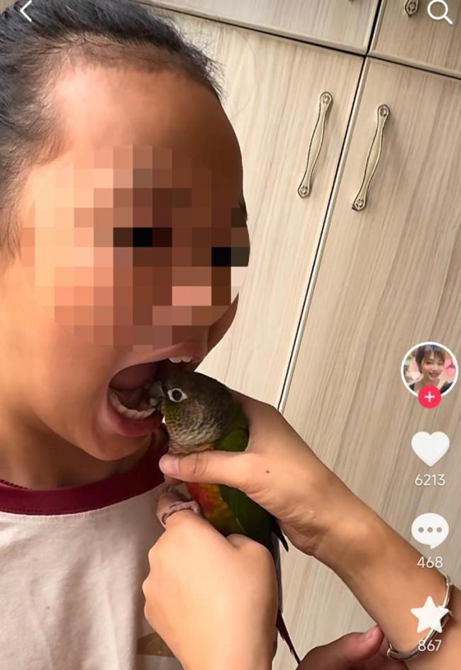 醫(yī)生談?dòng)名W鵡為孩子拔牙：或致感染鸚鵡熱,、流感 專(zhuān)家警告風(fēng)險(xiǎn)