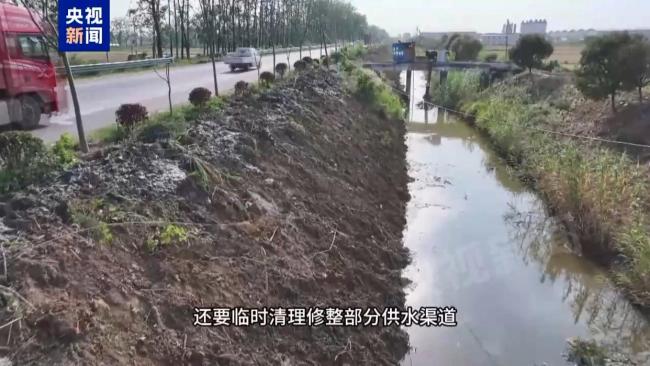 记者探安徽万亩秧苗之死真相 灌溉水污染成因待解