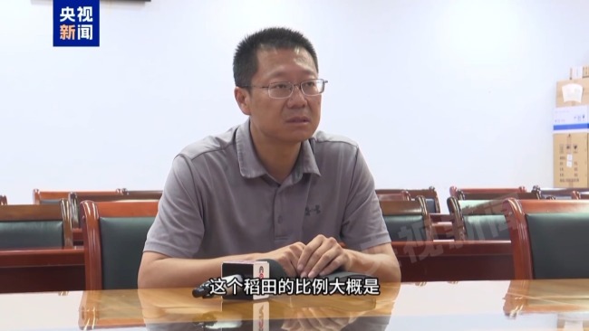 記者追蹤安徽蚌埠秧苗成批死亡真相 溝渠水被污染