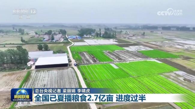 全國夏播糧食2.7億畝 進(jìn)度過半 播種進(jìn)度快于常年