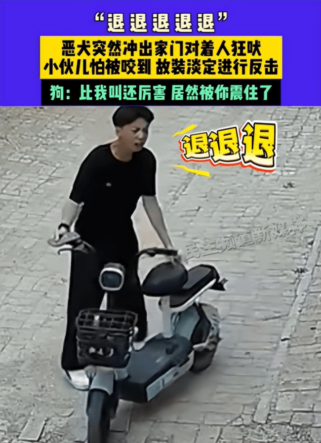 惡犬狂吠小伙大喊退退退 臨危不亂顯神威