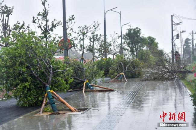 网友拍下台风“蝴蝶”携雨逼近 海南多地强风暴雨