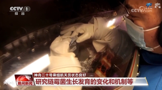 视神二十乘组在太空中西医都用上了 医学检查与锻炼并行