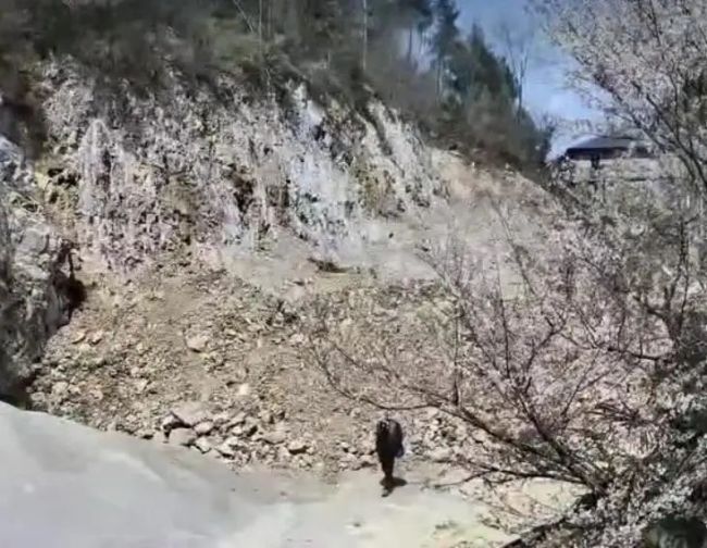 重庆老汉失踪近3个月后浮尸水塘 家人终寻得遗体