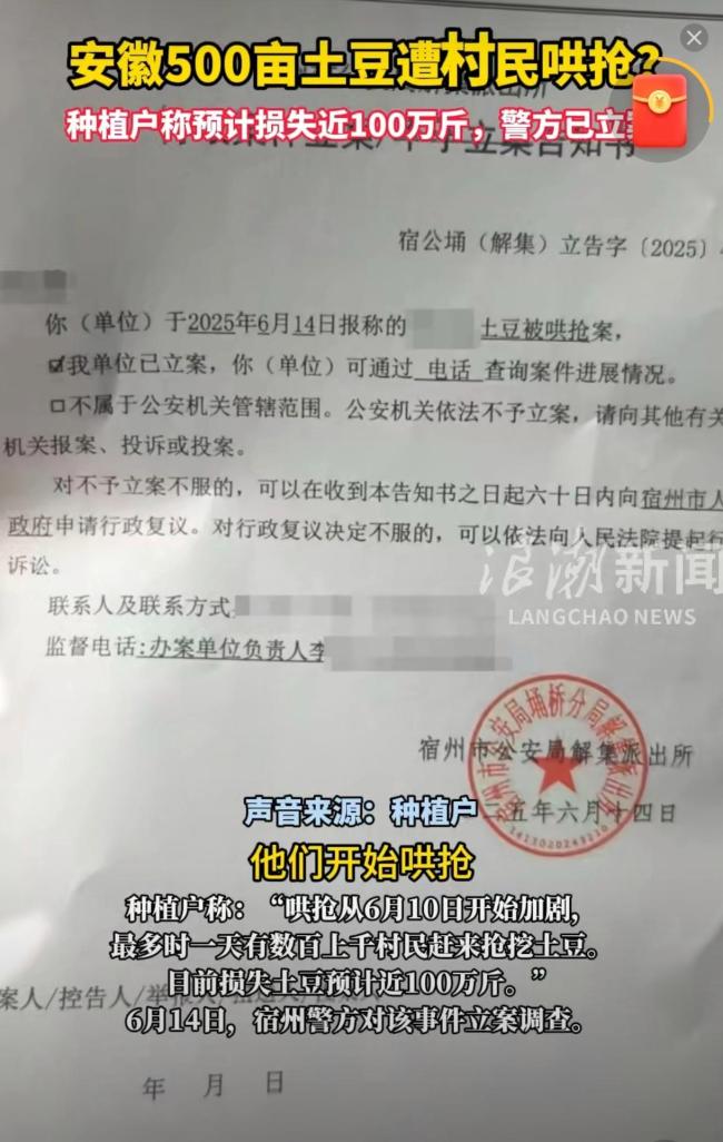 安徽500亩土豆遭村民哄抢？警方立案 数百村民疯狂挖掘