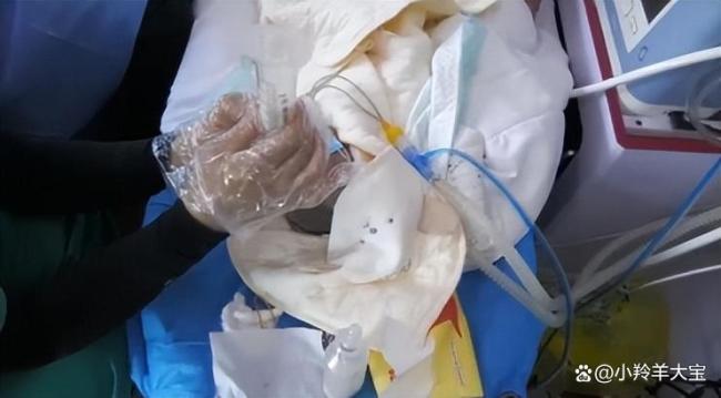 男子将重症孩子从南昌转运到上海 跨越1600公里的生命接力
