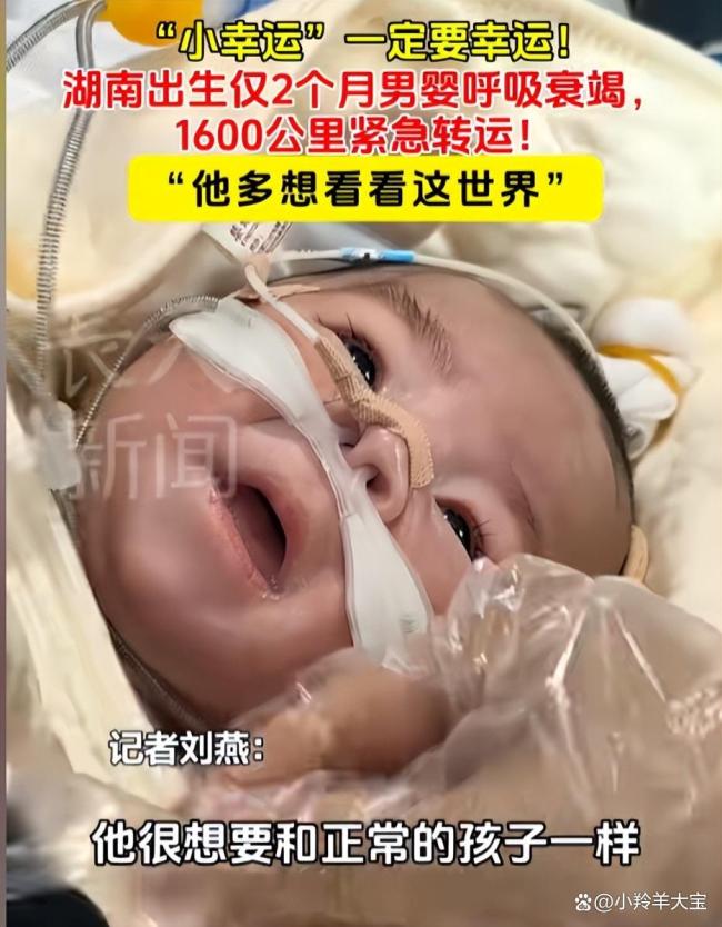 男子将重症孩子从南昌转运到上海 跨越1600公里的生命接力