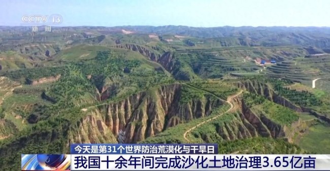 给沙漠戴上“绿围脖”！