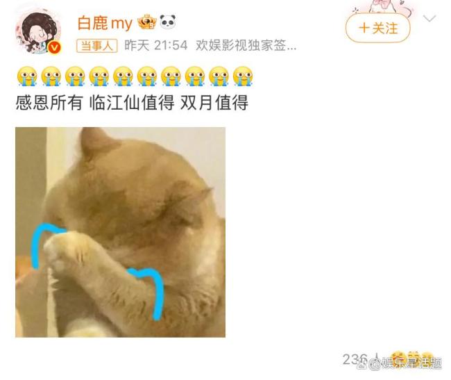 臨江仙破萬 奇跡的誕生