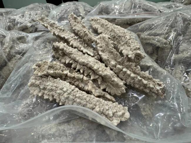 海关查获大量违规入境干海参 超量携带被查