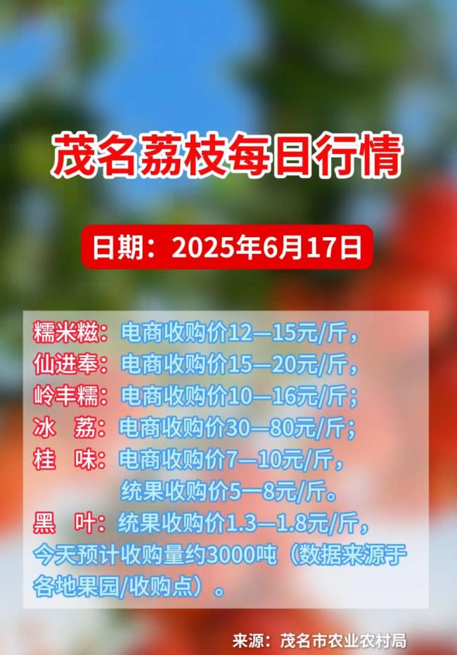 官方谈农户因荔枝价低放弃采摘 农业农村局：极个别现象