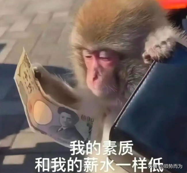 建议大家上班干活可以慢一点，上班干活为什么不能太快？